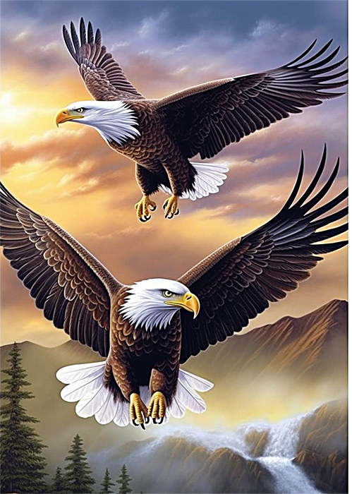 Eagle Paint By Numbers Kits UK MJ2296