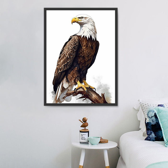 Eagle Paint By Numbers Kits UK MJ2297
