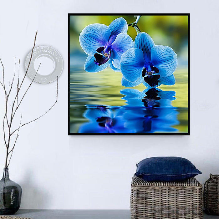 Flower Paint By Numbers Kits UK MJ2476