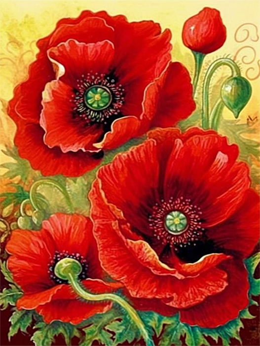 Flower Paint By Numbers Kits UK MJ2500