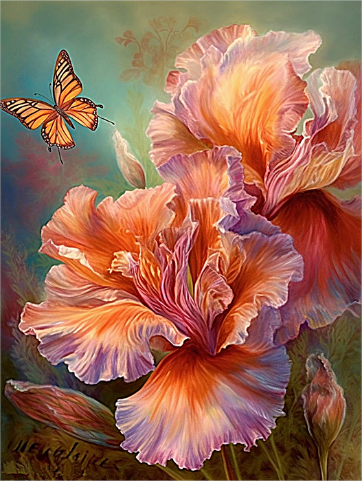 Flower Paint By Numbers Kits UK MJ2565