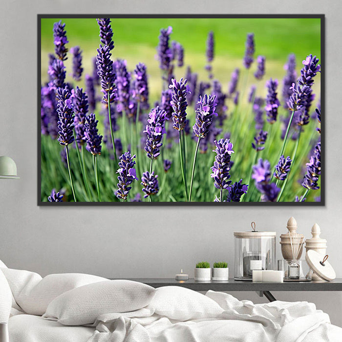 Flower Paint By Numbers Kits UK MJ2626