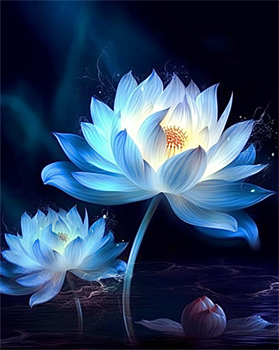 Lotus Paint By Numbers Kits UK MJ2649