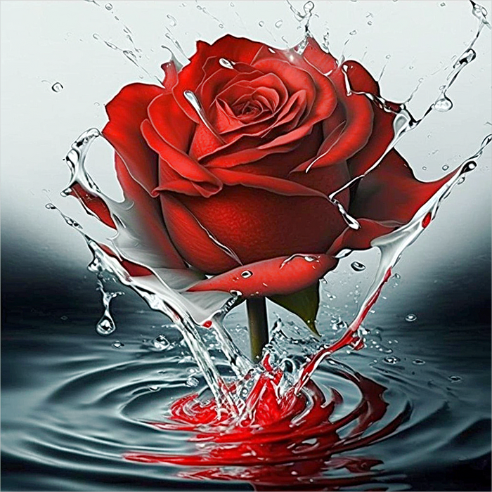 Rose Paint By Numbers Kits UK MJ2657