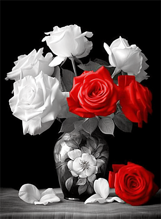 Rose Paint By Numbers Kits UK MJ2683