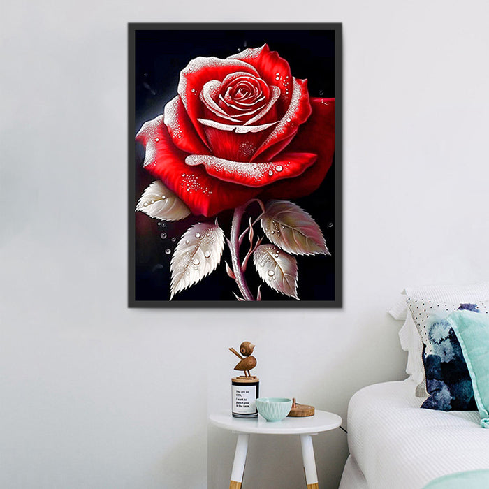 Rose Paint By Numbers Kits UK MJ2687