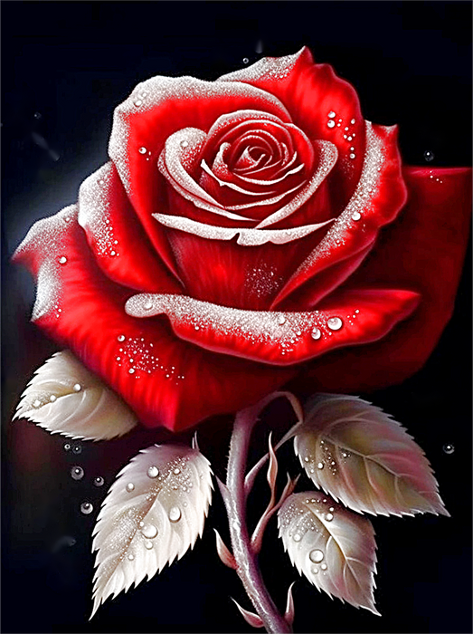 Rose Paint By Numbers Kits UK MJ2687