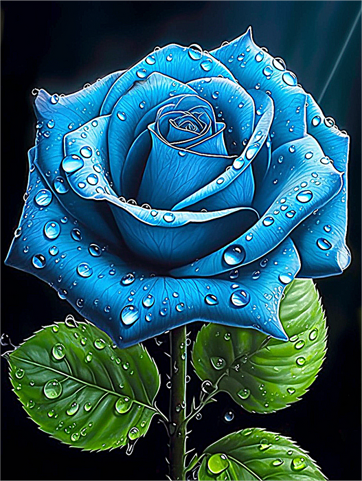 Rose Paint By Numbers Kits UK MJ2700