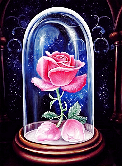 Rose Paint By Numbers Kits UK MJ2702