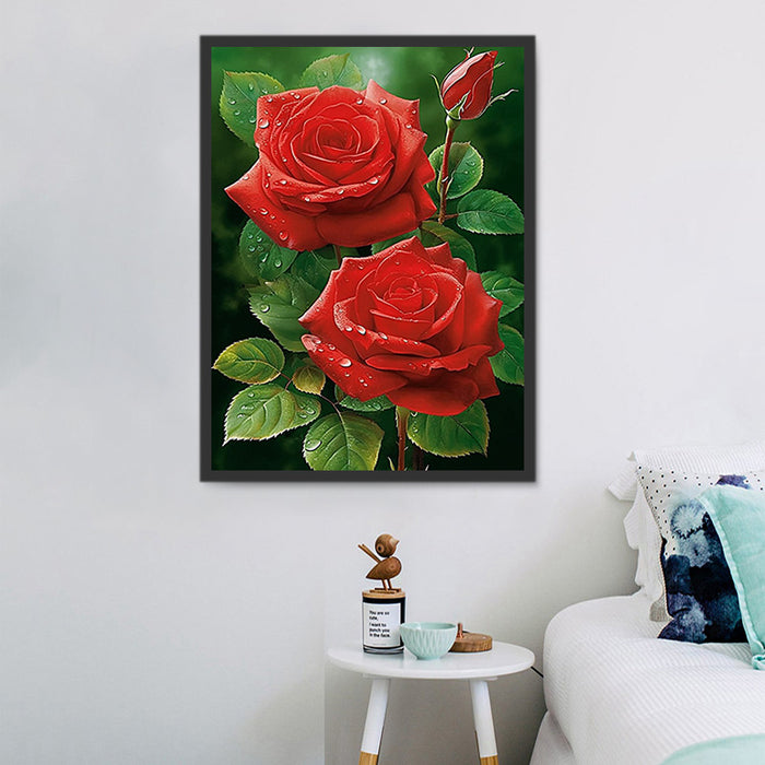 Rose Paint By Numbers Kits UK MJ2707