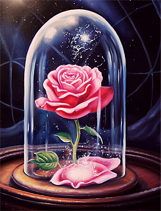 Rose Paint By Numbers Kits UK MJ2711