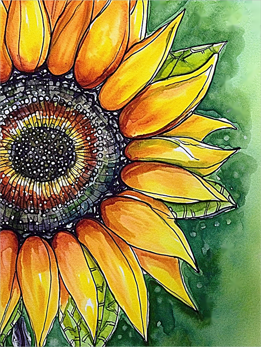 Sunflower Paint By Numbers Kits UK MJ2754