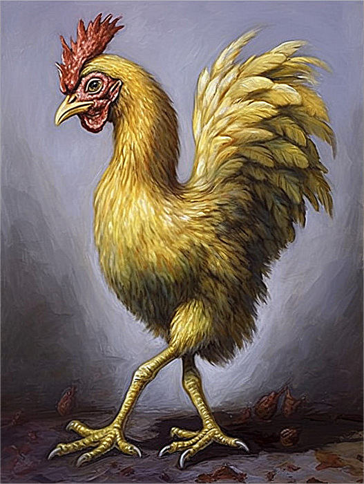 Chicken Diy Paint By Numbers Kits UK For Adult Kids MJ2807