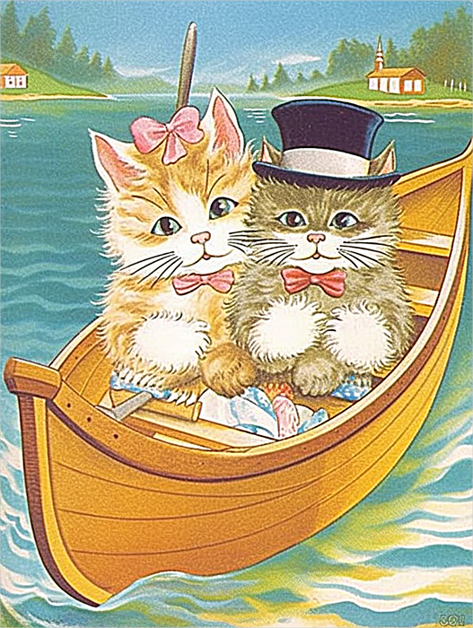 Cat Diy Paint By Numbers Kits UK For Adult Kids MJ2880