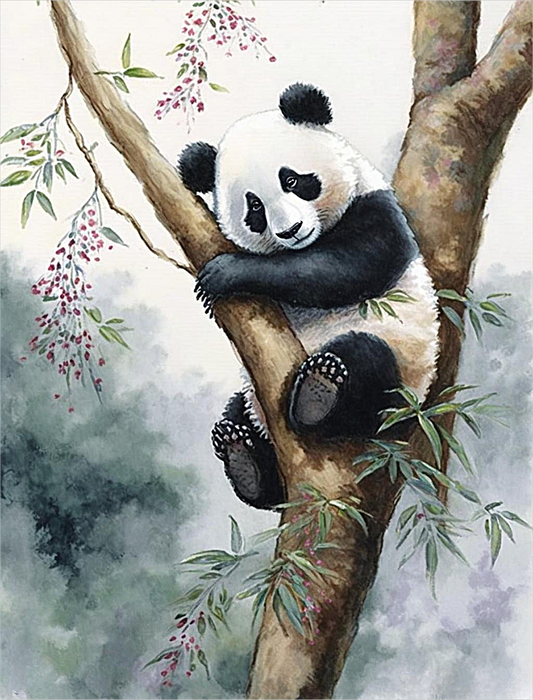 Panda Diy Paint By Numbers Kits UK For Adult Kids MJ8081