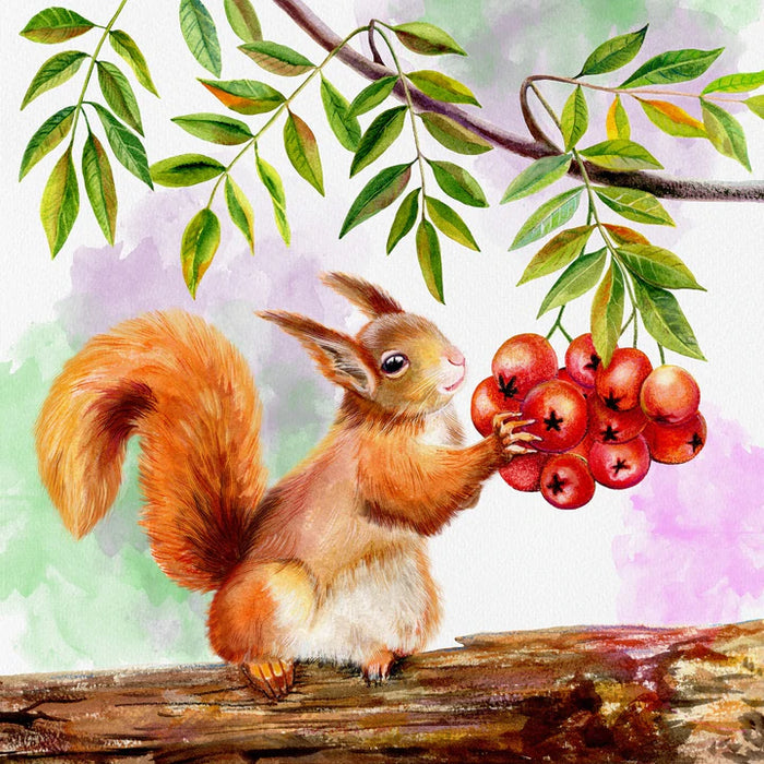 Squirrel Diy Paint By Numbers Kits UK For Adult Kids DS198130166
