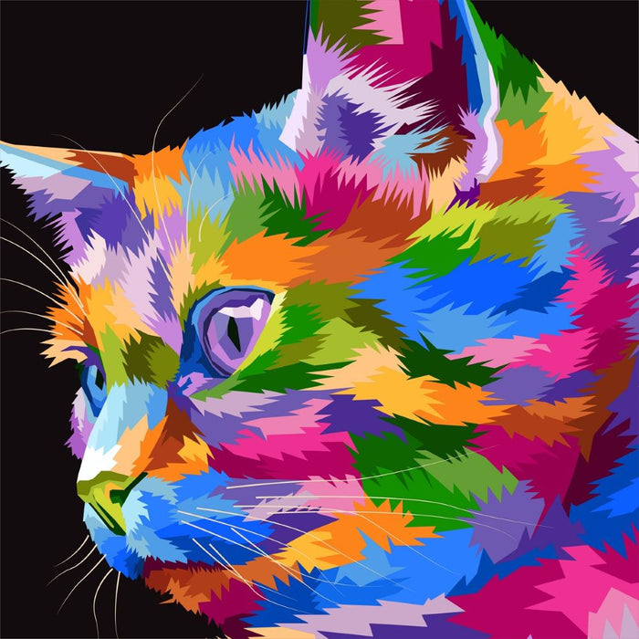 Cat Paint By Numbers Kits UK DS226978701