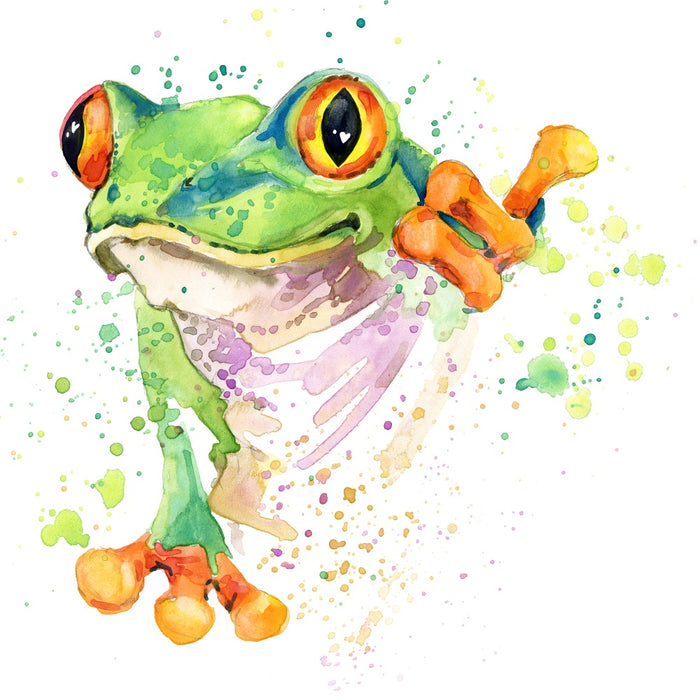 Frog Diy Paint By Numbers Kits UK For Adult Kids DS56387675