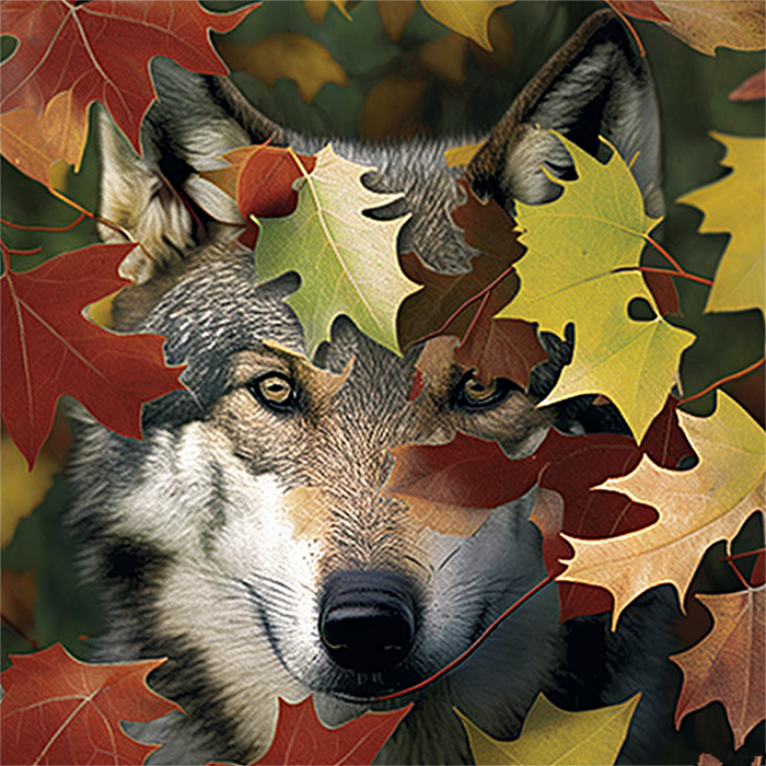 Wolf Paint By Numbers Kits UK MJ1405