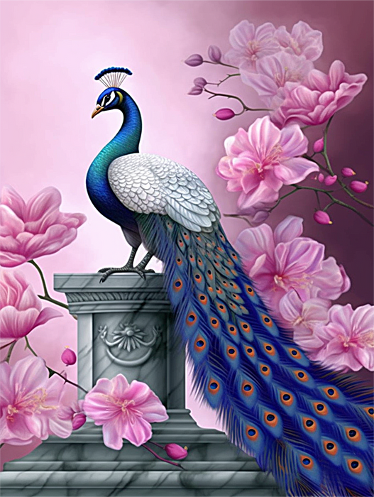 Peacock Paint By Numbers Kits UK MJ1611