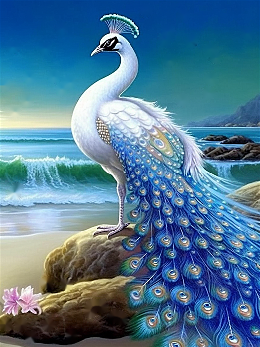 Peacock Paint By Numbers Kits UK MJ1624