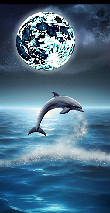 Dolphin Diy Paint By Numbers Kits UK For Adult Kids MJ1738