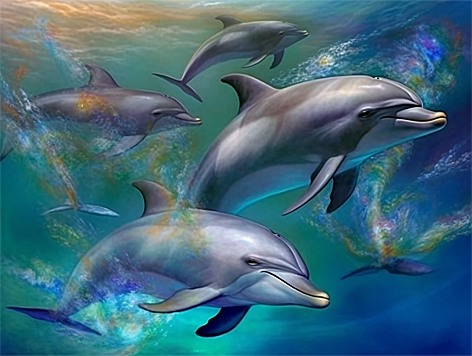 Dolphin Diy Paint By Numbers Kits UK For Adult Kids MJ1766