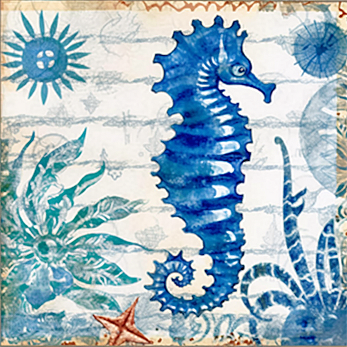 Hippocampi Paint By Numbers Kits UK MJ1841