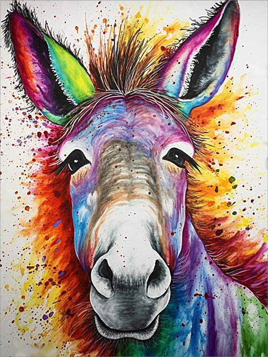 Donkey Paint By Numbers Kits UK MJ2010
