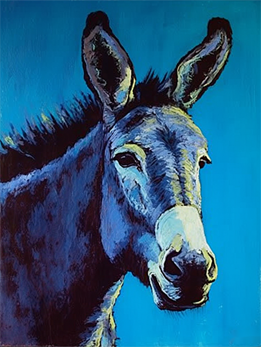 Donkey Paint By Numbers Kits UK MJ2019