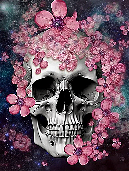 Skull Paint By Numbers Kits UK MJ2067