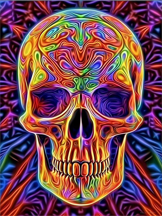 Skull Paint By Numbers Kits UK MJ2076