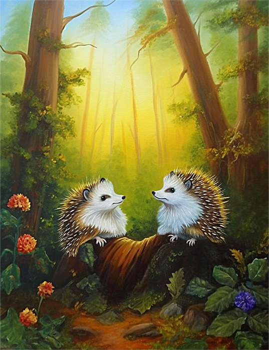 Hedgehog Paint By Numbers Kits UK MJ9699