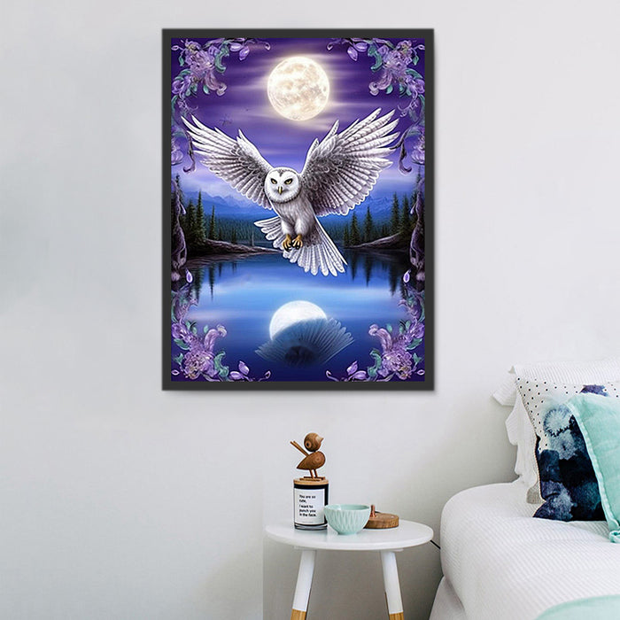 Owl Paint By Numbers Kits UK MJ9764