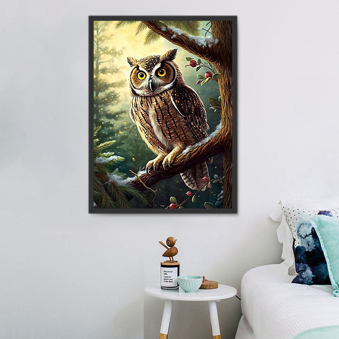 Owl Paint By Numbers Kits UK MJ9767
