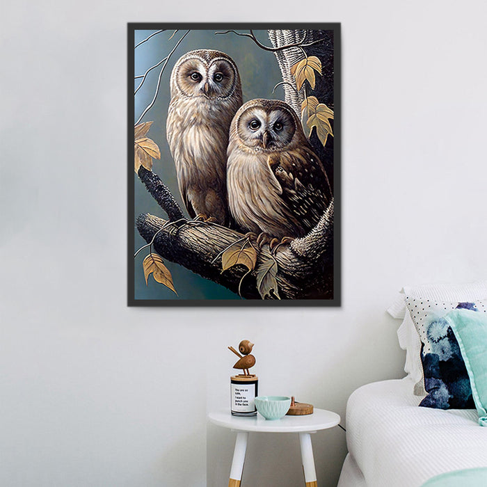Owl Paint By Numbers Kits UK MJ9790