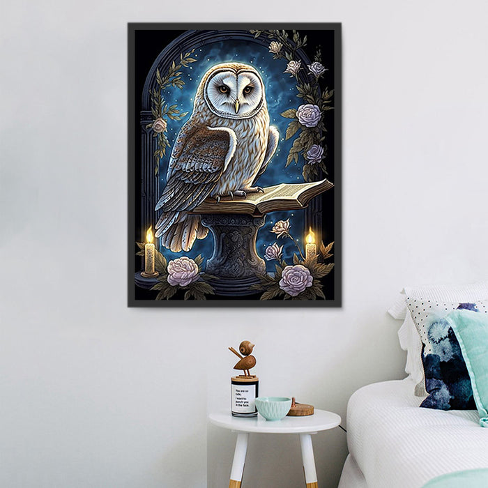 Owl Paint By Numbers Kits UK MJ9797