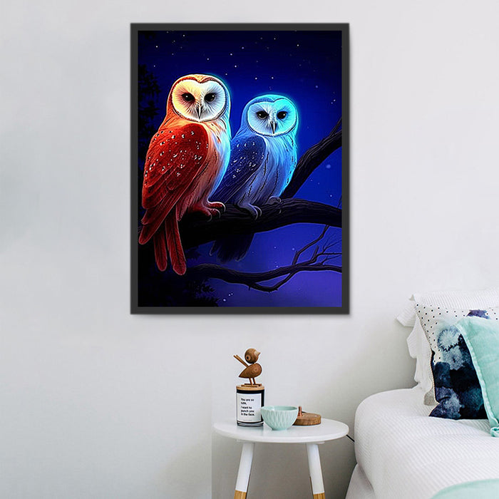 Owl Paint By Numbers Kits UK MJ9804