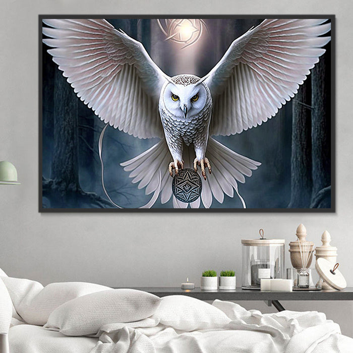 Owl Paint By Numbers Kits UK MJ9806