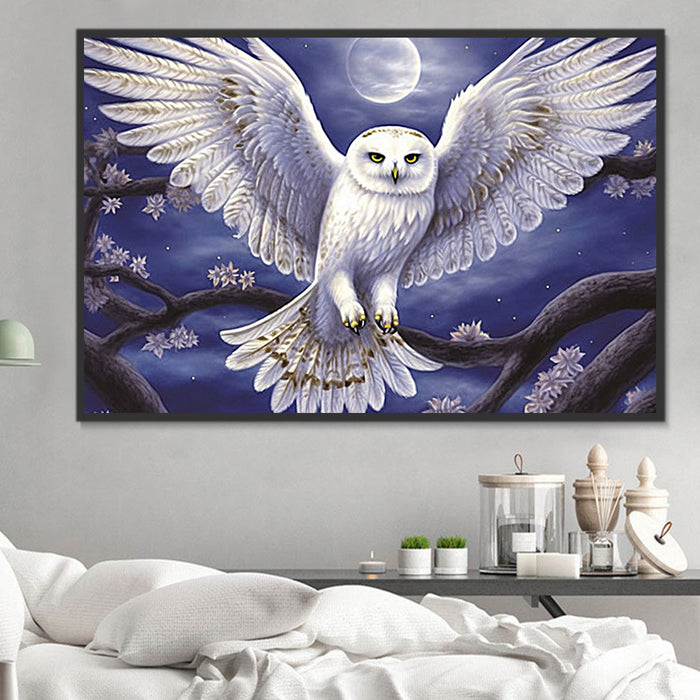 Owl Paint By Numbers Kits UK MJ9807