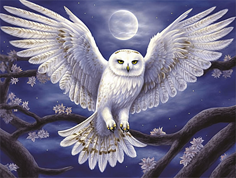 Owl Paint By Numbers Kits UK MJ9807