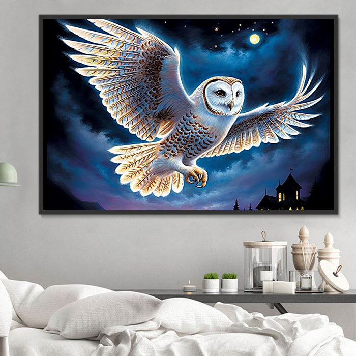 Owl Paint By Numbers Kits UK MJ9808