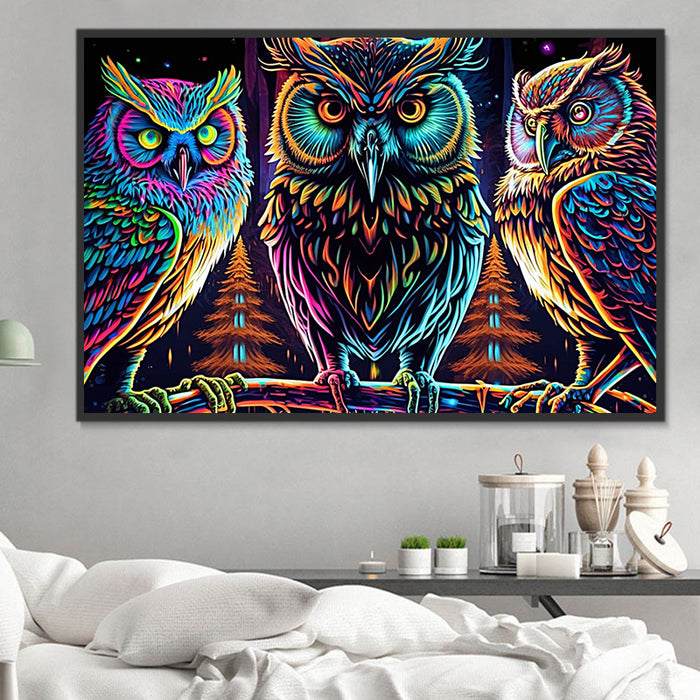 Owl Paint By Numbers Kits UK MJ9809