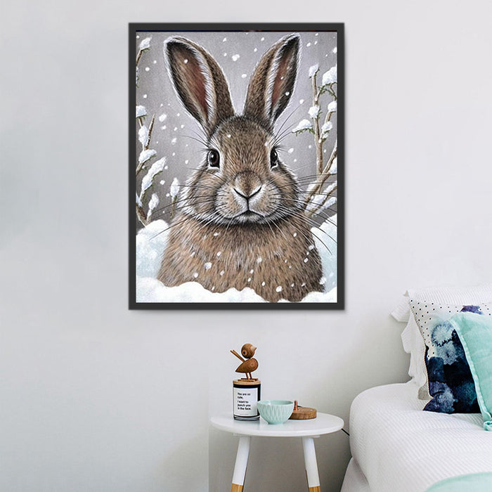 Rabbit Paint By Numbers Kits UK MJ9828