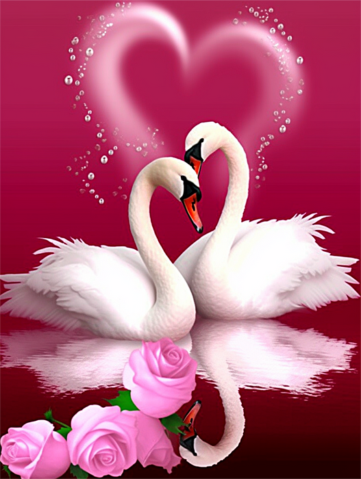 Swan Paint By Numbers Kits UK MJ9880