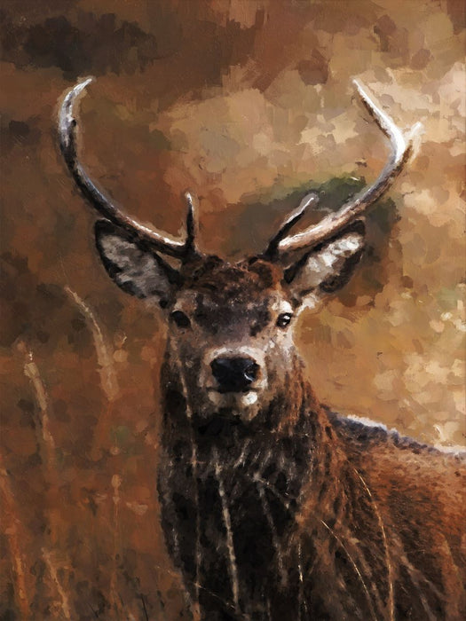 Deer Paint By Numbers Kits UK PX5257454