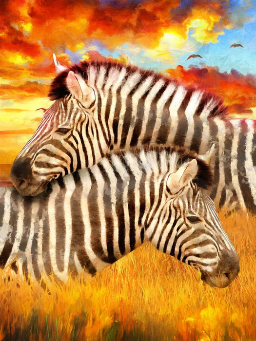Zebra Diy Paint By Numbers Kits UK For Adult Kids SS1642881289
