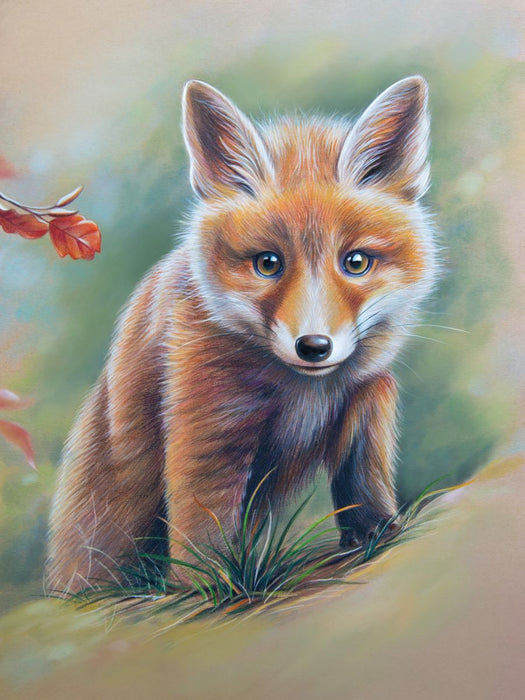 Fox Paint By Numbers Kits UK SS1749556007
