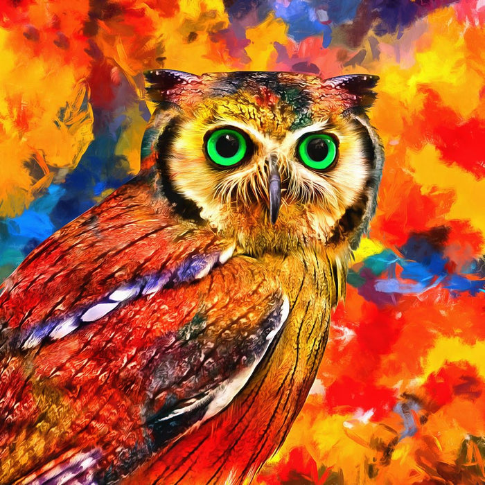 Owl Diy Paint By Numbers Kits UK For Adult Kids SS1932084590