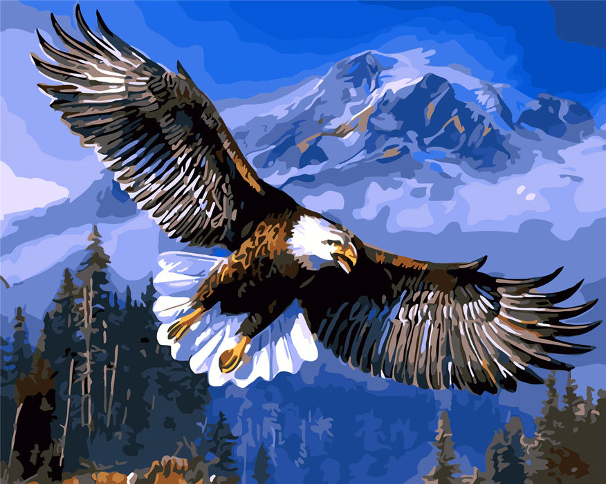 Eagle Diy Paint By Numbers Kits UK For Adult Kids WHA619